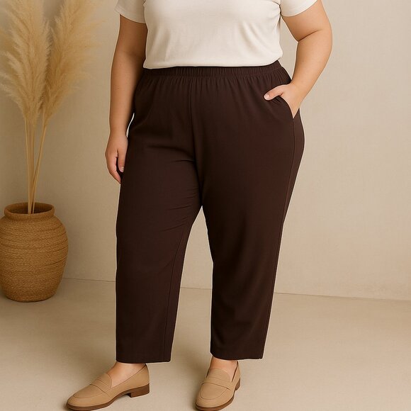 Kim Rogers Caroline Pants 20W Straight Leg Brown Pull On Comfort Fit NWT - Picture 1 of 7